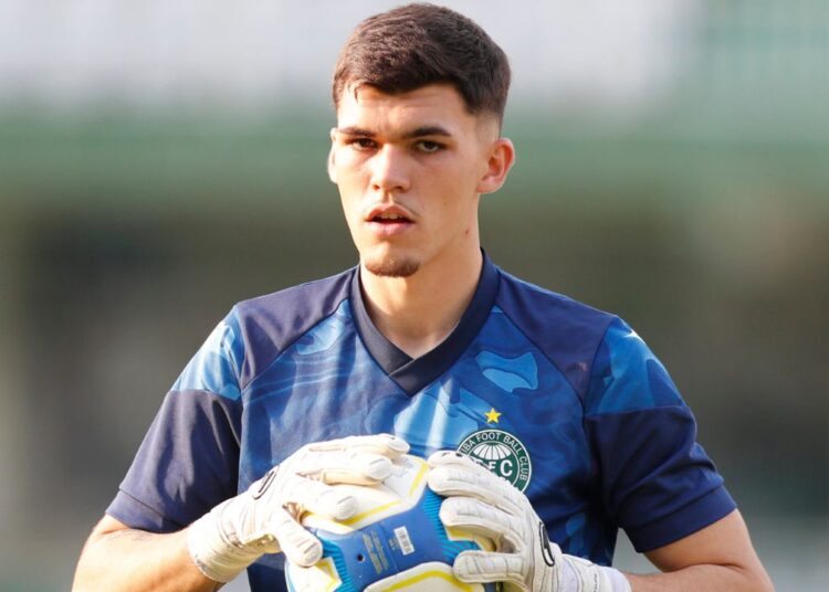 Pedro Morisco e Pedro Rangel disputam vaga no Coritiba Pedro Morisco e Pedro Rangel disputam vaga no Coritiba