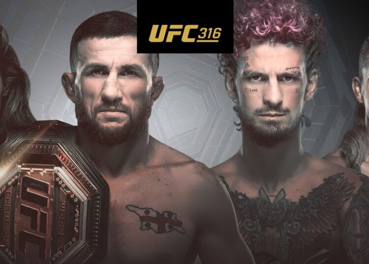 UFC 316: Confira o card completo UFC 316: Confira o card completo
