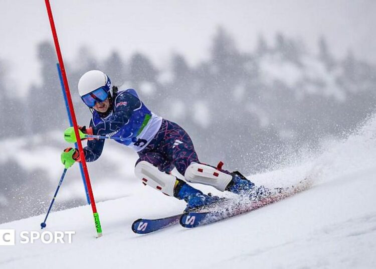 Panorama Global do Esporte: Destaques do Futebol Brasileiro e Cenário Mundial Panorama Global do Esporte: Destaques do Futebol Brasileiro e Cenário Mundial