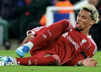 Hugo Ekitike Fora da Copa do Mundo por Ruptura do Tendão de Aquiles Hugo Ekitike Fora da Copa do Mundo por Ruptura do Tendão de Aquiles