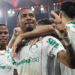 Palmeiras Vence Flamengo e Consolida Liderança no Brasileirão