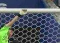 Copa do Mundo FIFA 2026: As 10 Defesas Mais Memoráveis Copa do Mundo FIFA 2026: As 10 Defesas Mais Memoráveis