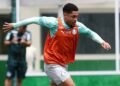 Palmeiras prepara mudanças e vive expectativa por Vitor Roque contra o Santos no Brasileiro